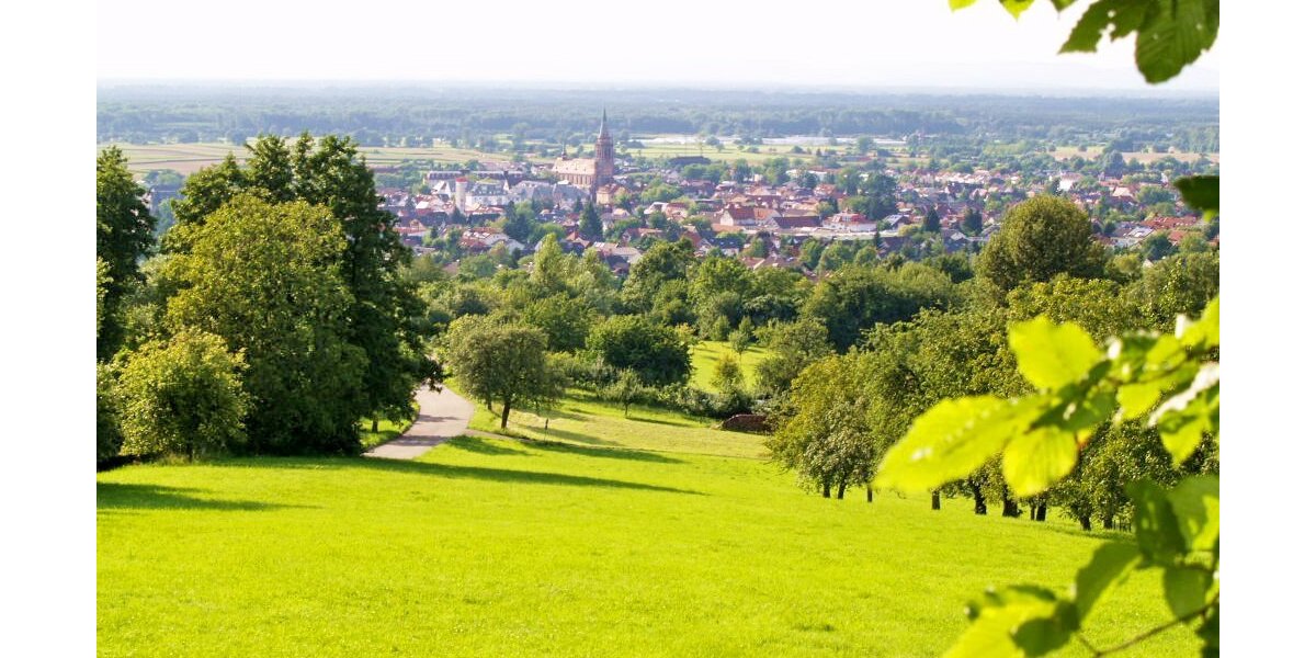 Exklusives Einfamilienhaus mit ELW in Traumlage - Zweifamilienhaus Sinzheim | Angebot:25419100