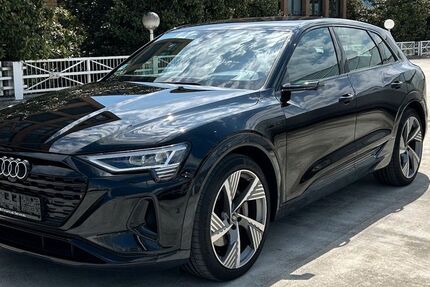 Audi Q8 e-tron 51.326 km 44.900 &euro; Ettlingen 76275