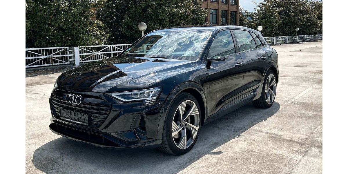 Audi Q8 e-tron 51.326 km 44.900 &euro; Ettlingen 76275