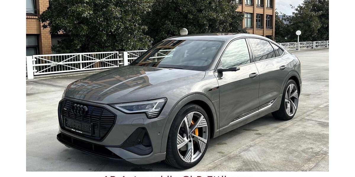 Audi e-tron 46.021 km 38.900 &euro; Ettlingen 76275