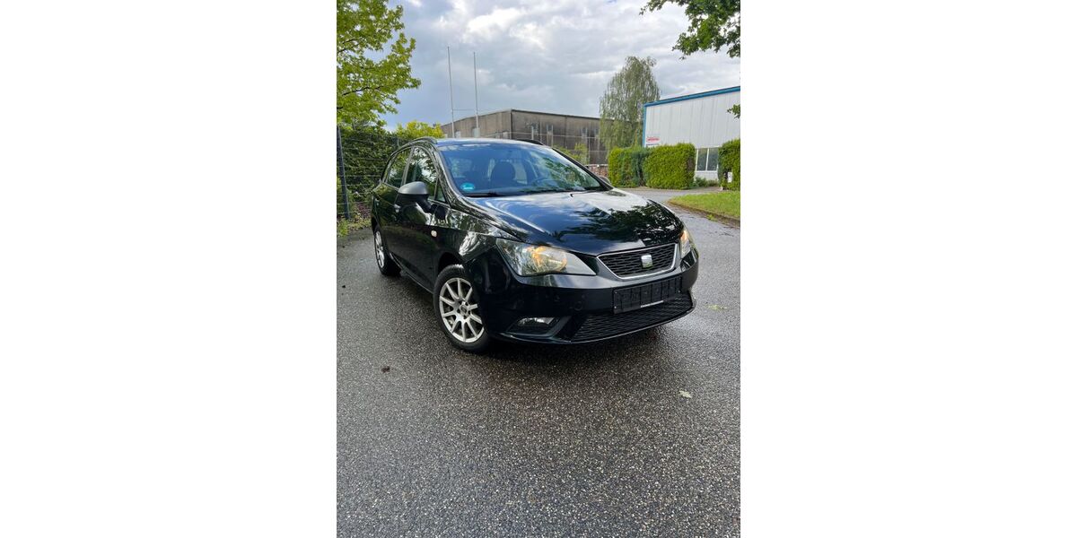 Seat Ibiza 173.809 km 3.750 &euro; Achern 77855