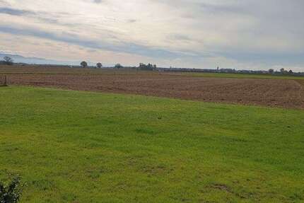 Haus Rheinmünster - 4 Zimmer, 137 m&sup2;, 479.000&euro; | Angebot:25201093