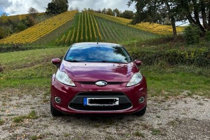 Ford Fiesta 208.900 km 2.200 &euro; Lauf 77886