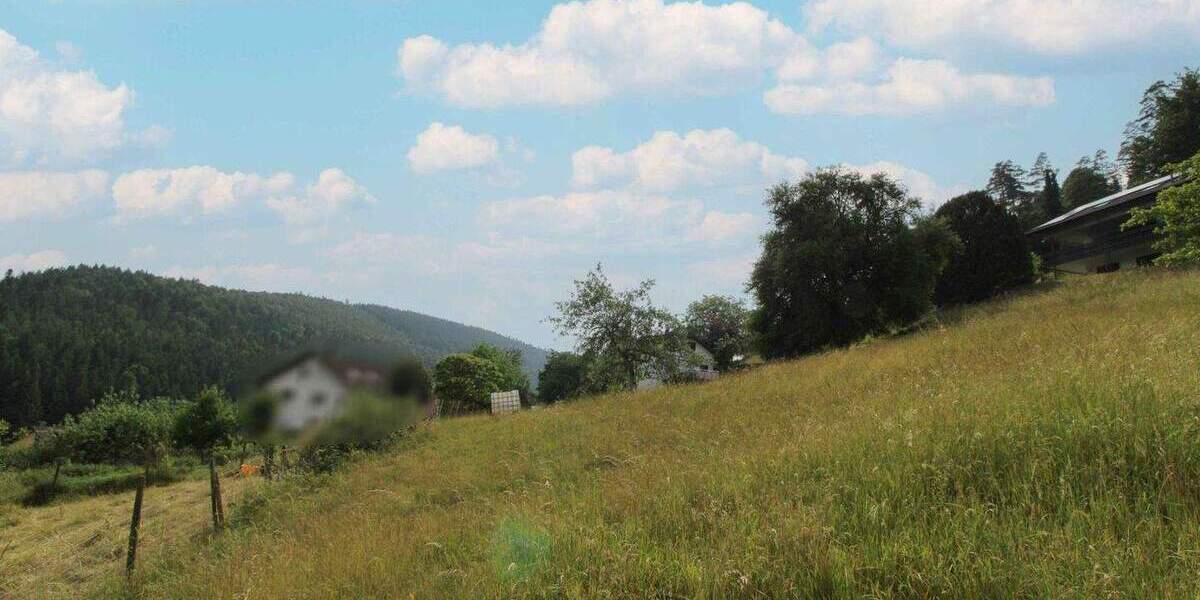 Grundstück Bad Wildbad Sprollenhaus - 124.500&euro; | Angebot:25749679