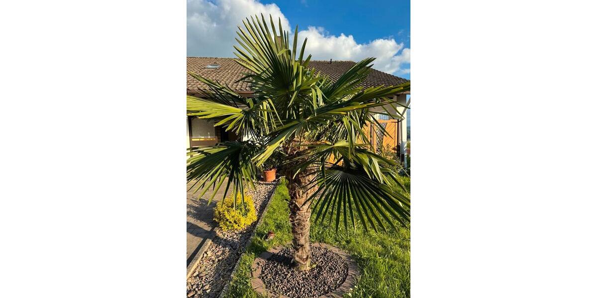 Dachgeschoßwohnung Gaggenau - 1 Zimmer, 110 m&sup2;, 960&euro; | Angebot:25420989