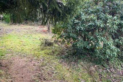 Grundstück Forbach - 89.900&euro; | Angebot:24982868