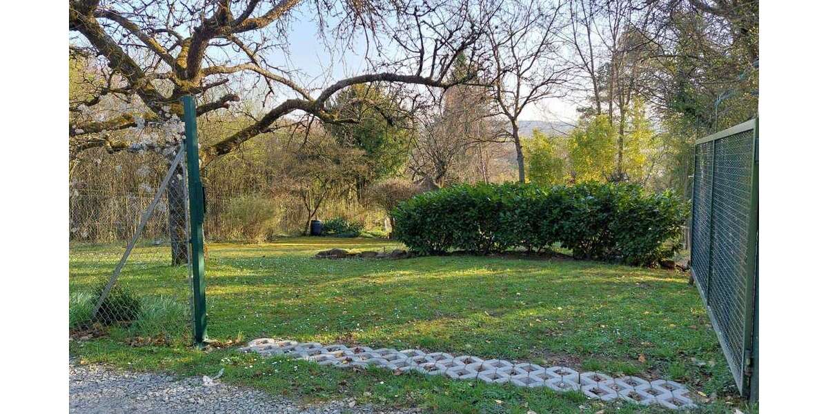 Sonstige Keltern - 32.000&euro; | Angebot:25418551