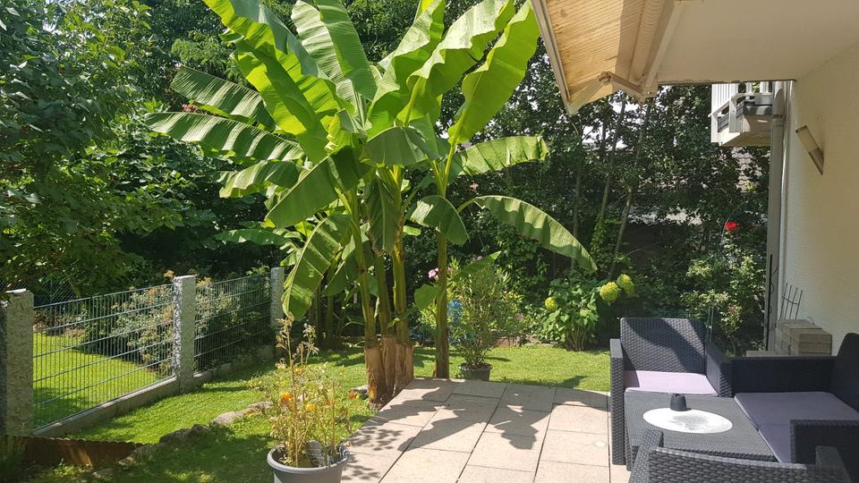 Doppelhaushälfte Kuppenheim - 5 Zimmer, 140 m&sup2;, 519.000&euro; | Angebot:25968250