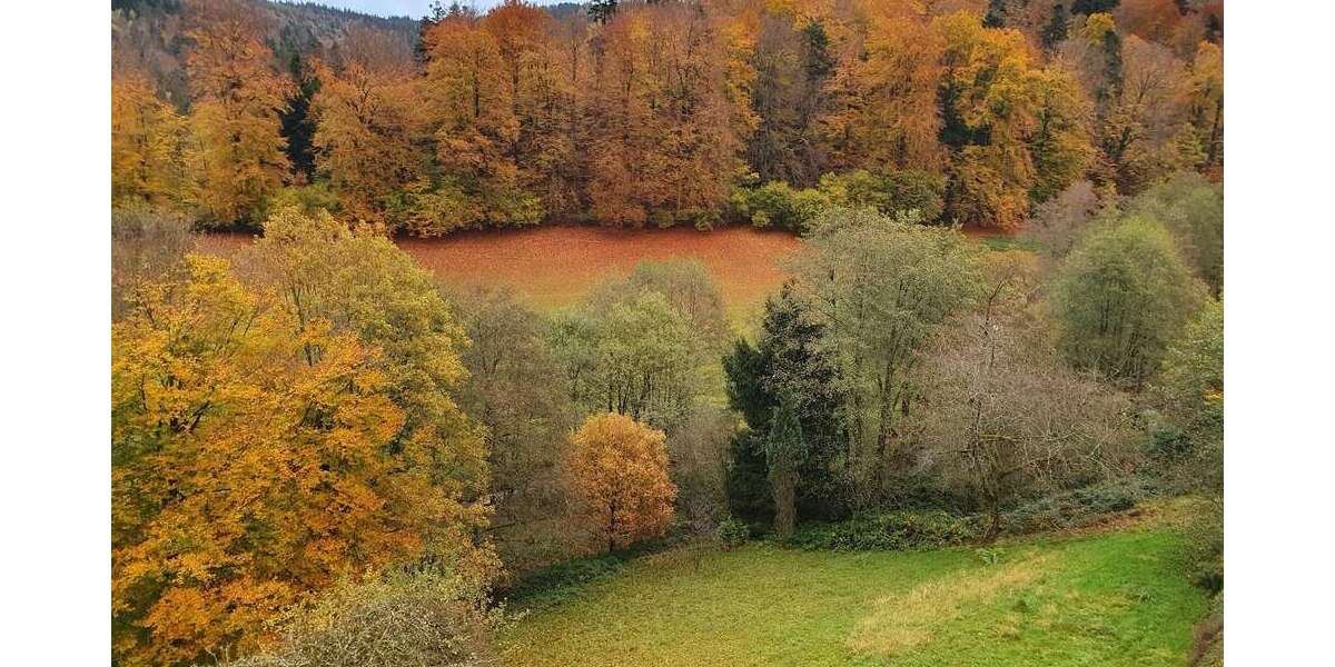 Etagenwohnung Bad Herrenalb - 4 Zimmer, 100 m&sup2;, 199.000&euro; | Angebot:24103937