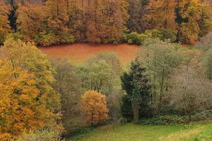 Wohnung Bad Herrenalb - 4 Zimmer, 100 m&sup2;, 199.000&euro; | Angebot:24103937