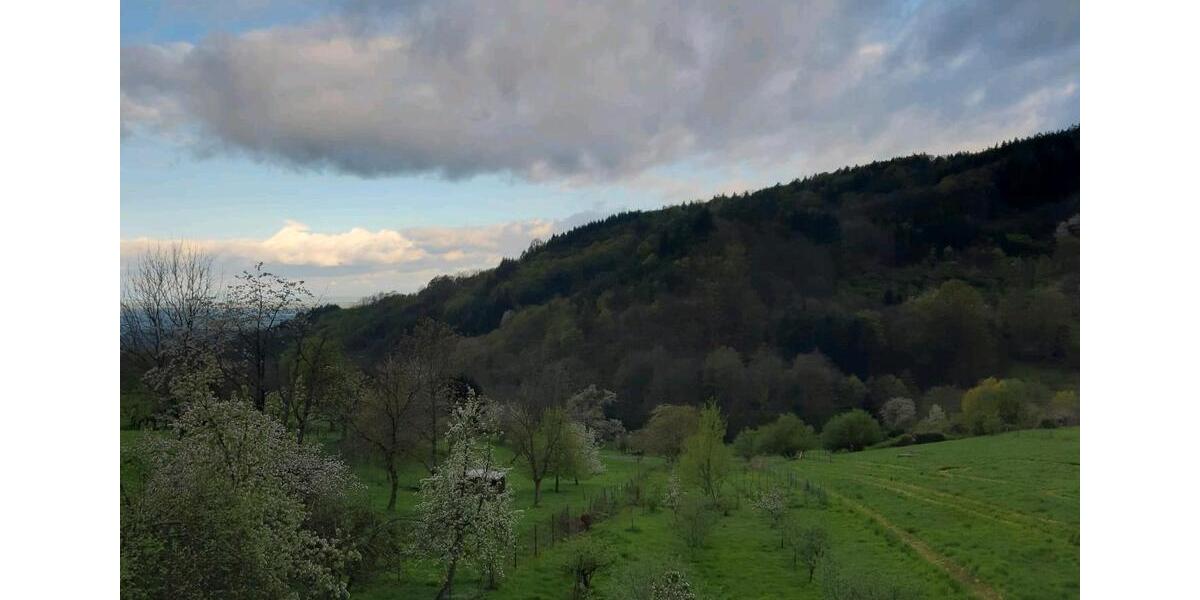 Etagenwohnung Bühl - 4 Zimmer, 110 m&sup2;, 900&euro; | Angebot:25713640