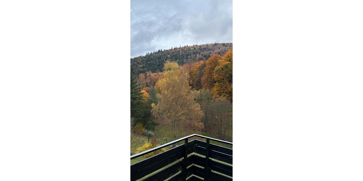 Dachgeschoßwohnung Bad Herrenalb - 3 Zimmer, 50 m&sup2;, 158.000&euro; | Angebot:24469413