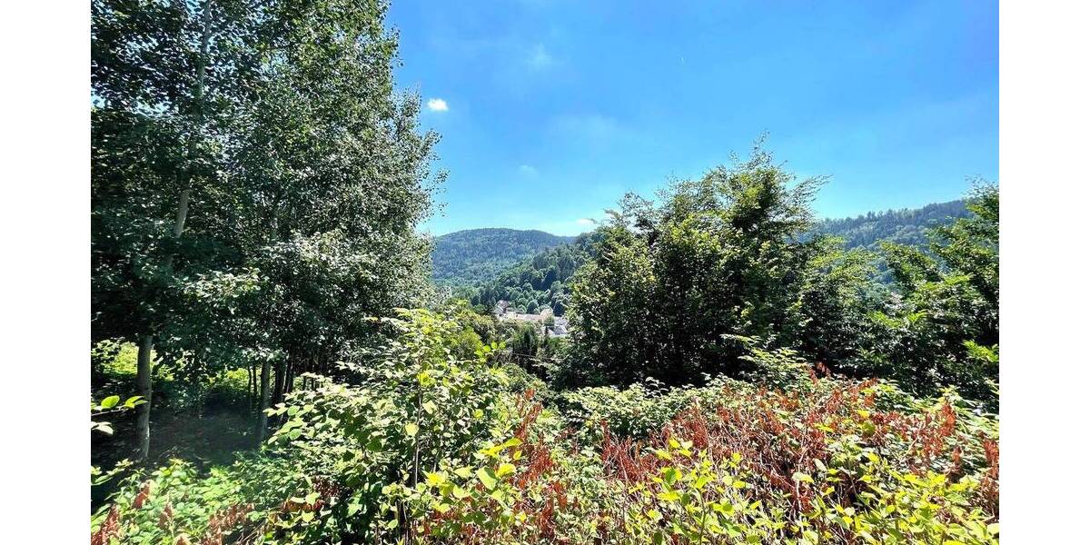 Einfamilienhaus Neuenbürg - 8 Zimmer, 185 m&sup2;, 439.000&euro; | Angebot:25725750