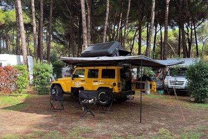 Jeep Wrangler 153.000 km 35.000 &euro; Gernsbach 76593