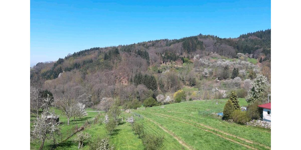 Etagenwohnung Bühl - 4 Zimmer, 110 m&sup2;, 900&euro; | Angebot:25713640