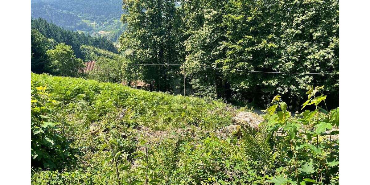 Grundstück Ottenhöfen im Schwarzwald - 135.000&euro; | Angebot:26006687