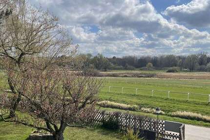 Wohnung Iffezheim - 2 Zimmer, 131 m&sup2;, 990&euro; | Angebot:25982945