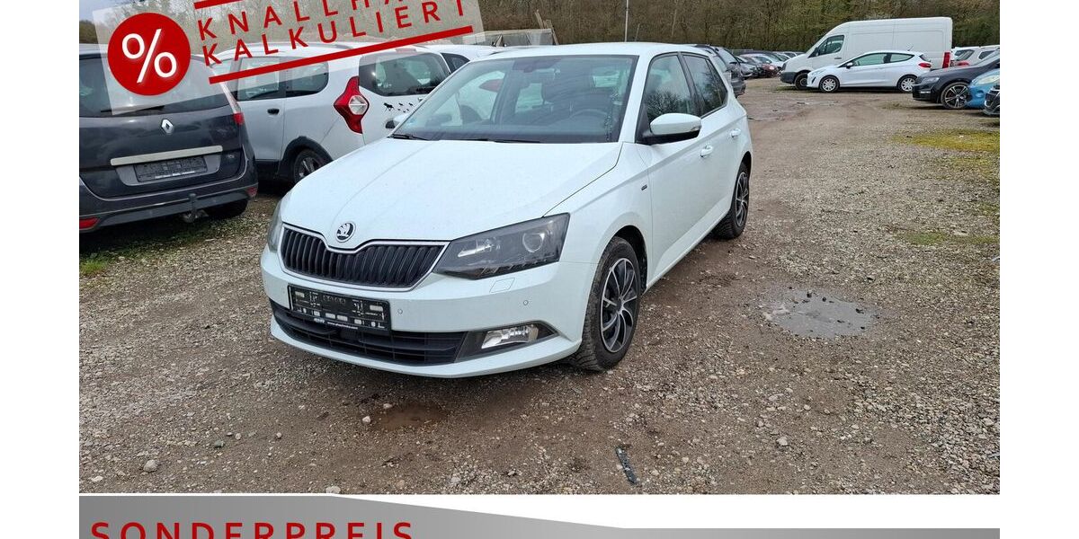 Skoda Fabia 131.000 km 7.485 &euro; Achern 77855