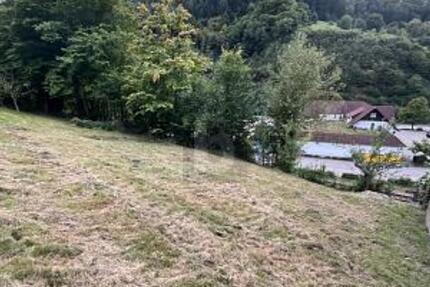 SCHÖNE AUSSICHTEN FÜR EIN GEMEINSAMES ZUHAUSE - Grundstück Weisenbach | Angebot:25893174