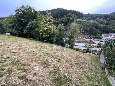 SCHÖNE AUSSICHTEN FÜR EIN GEMEINSAMES ZUHAUSE - Grundstück Weisenbach | Angebot:25893174