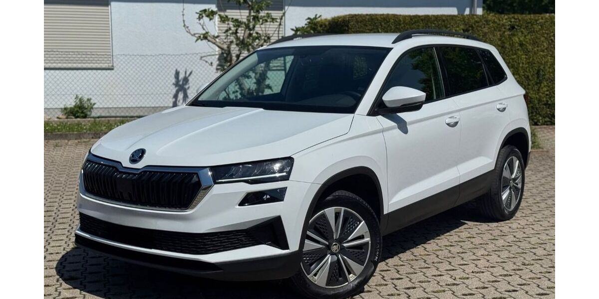 Skoda Karoq 195.000 km 14.900 &euro; Rastatt 76437