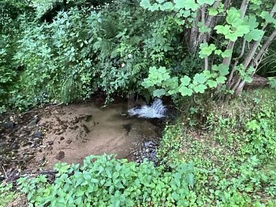 2380 QM WOHNEN AM BACH UND WALD ZUM ENTSPANNEN - Grundstück Bad Herrenalb | Angebot:26688141