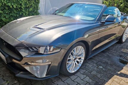 Ford Mustang 71.700 km 29.900 &euro; Neuburg am Rhein 76776