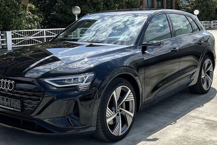 Audi Q8 e-tron 51.996 km 44.900 &euro; Ettlingen 76275
