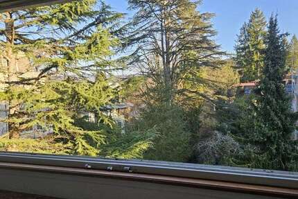 Wohnung Baden-Baden Baden - 2 Zimmer, 50 m&sup2;, 600&euro; | Angebot:22692574