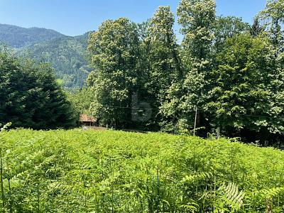 ERSCHAFFEN SIE IHREN WOHNTRAUM IM GRÜNEN - Grundstück Ottenhöfen im Schwarzwald | Angebot:25970986