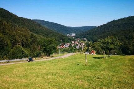 Wohnung Bad Herrenalb - 3.5 Zimmer, 123 m&sup2;, 950&euro; | Angebot:25887946