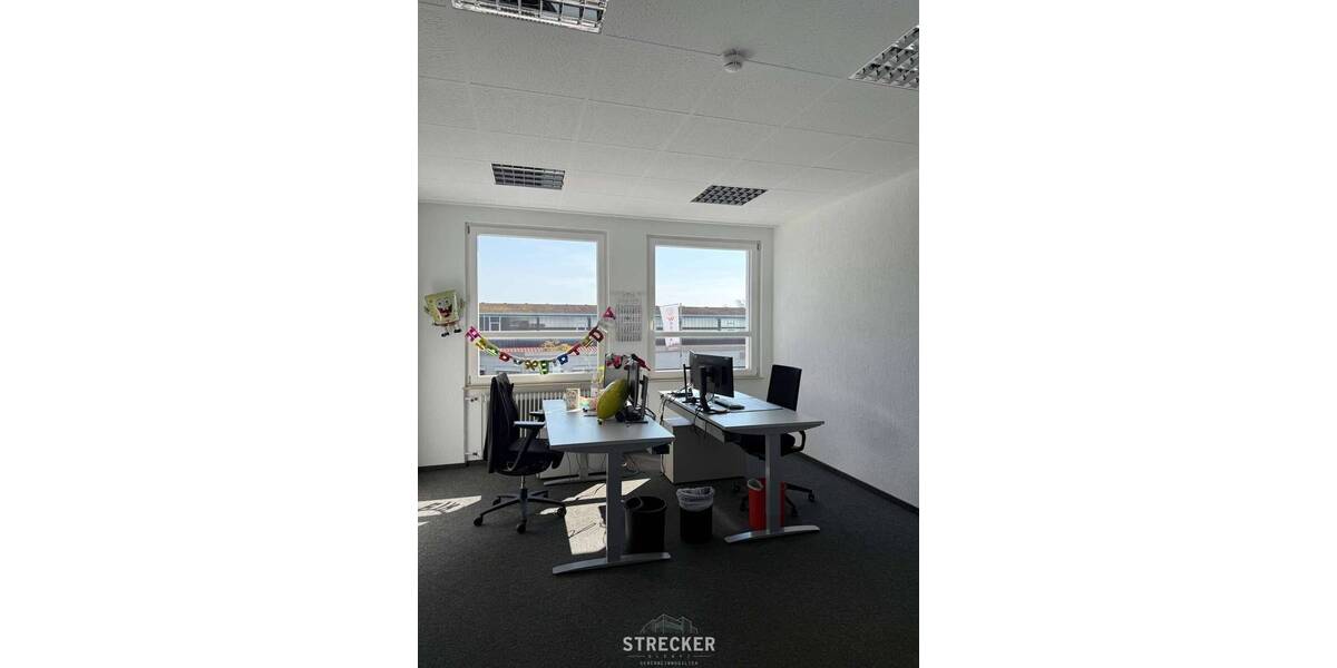 Gewerbeobjekt Renchen Stadtgebiet - 2.900.000&euro; | Angebot:26686773