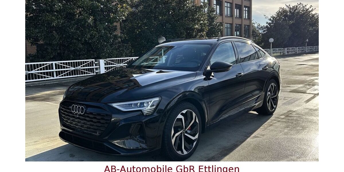 Audi Q8 e-tron 22.058 km 54.900 &euro; Ettlingen 76275
