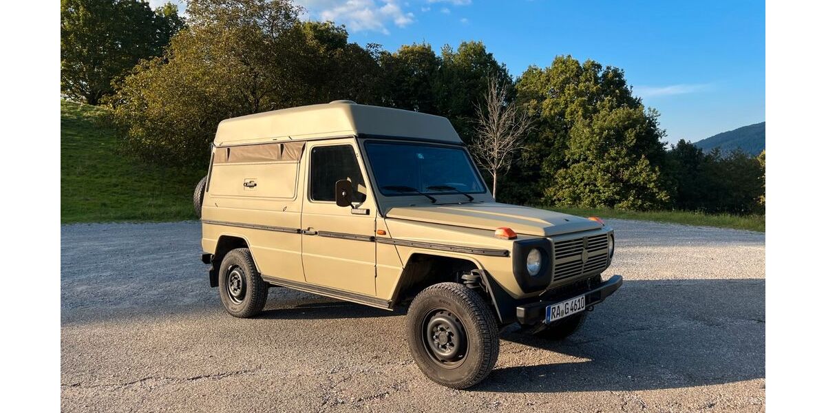 Mercedes-Benz G 230 113.033 km 33.500 &euro; Gernsbach 76593