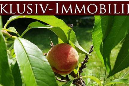 Grundstück Baden-Baden Baden - 1.100.000&euro; | Angebot:18137224