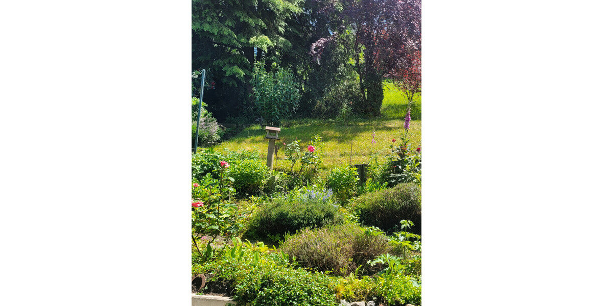 RESERVIERT - Schönes Landhaus mit Einliegerwohnung - Einfamilienhaus Bad Wildbad | Angebot:25867176