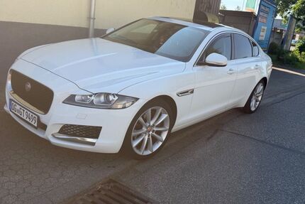 Jaguar XF 183.650 km 12.499 &euro; Achern 77855
