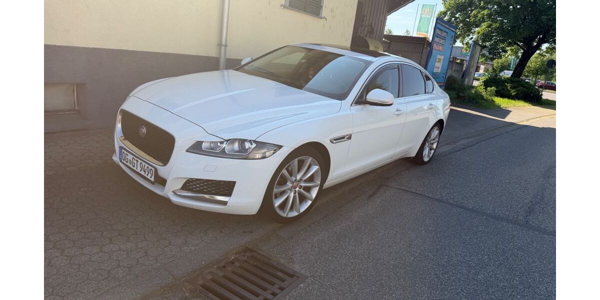Jaguar XF 183.650 km 12.499 &euro; Achern 77855