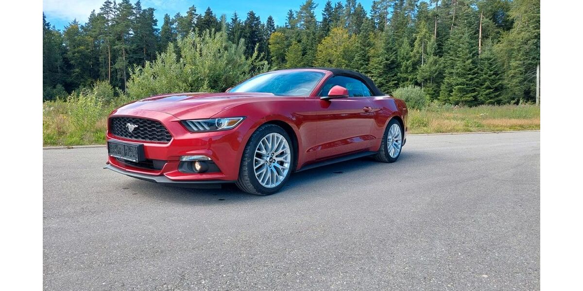 Ford Mustang 77.123 km 24.900 &euro; neuweiler 75389