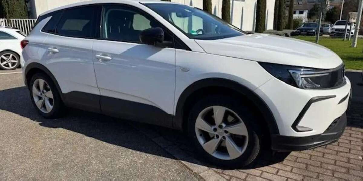 Opel Grandland X 83.000 km 19.500 &euro; Lautenbach 77794